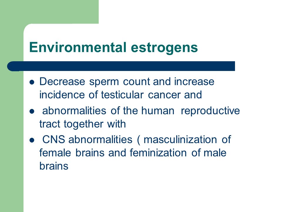 PhytoEstrogens (Plant Estrogens)